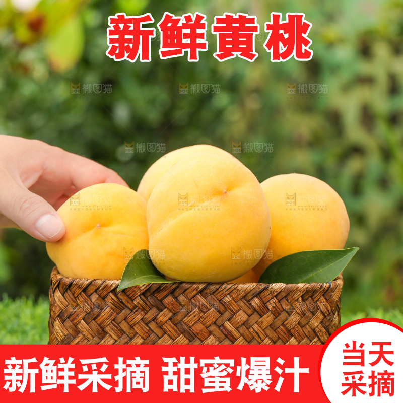 草地上放着一篮子新鲜黄桃