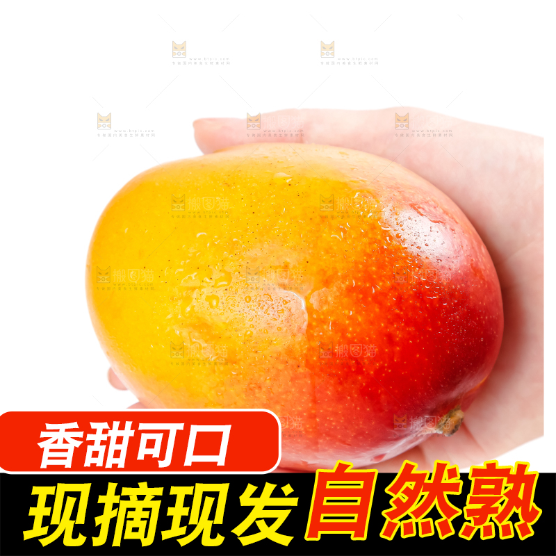 白底上的爱文芒