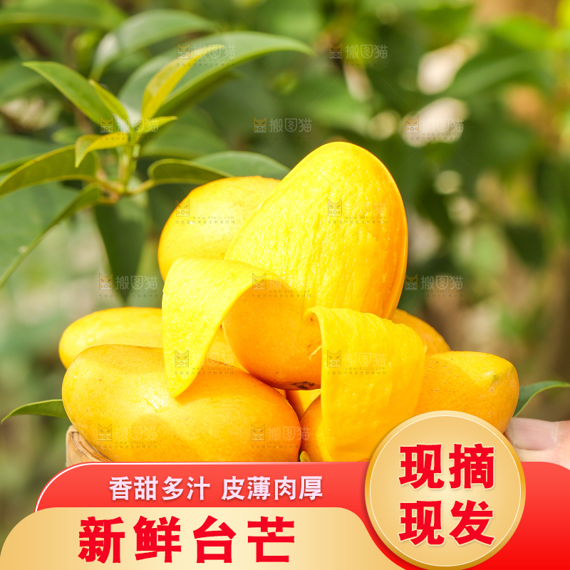 手里拿着小香芒