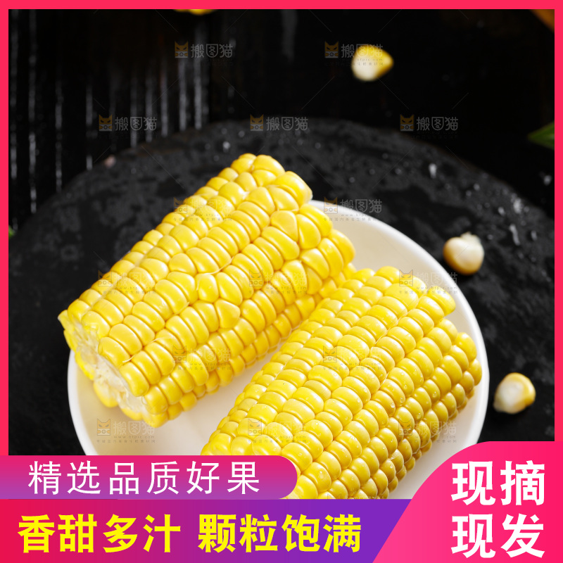 黑石板上的东北玉米