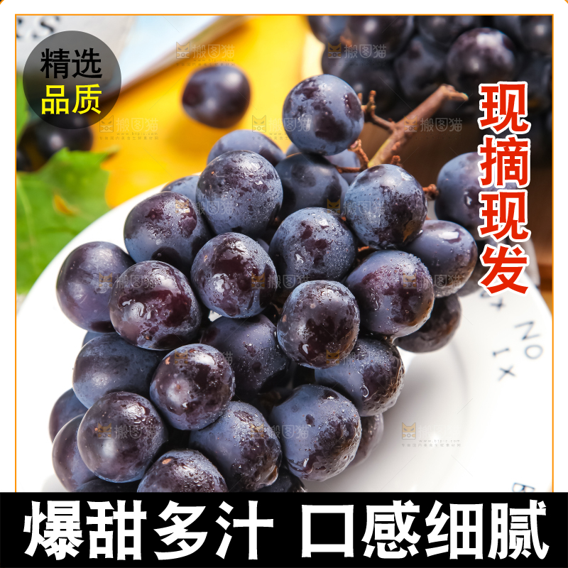 白格子底上放着夏黑葡萄