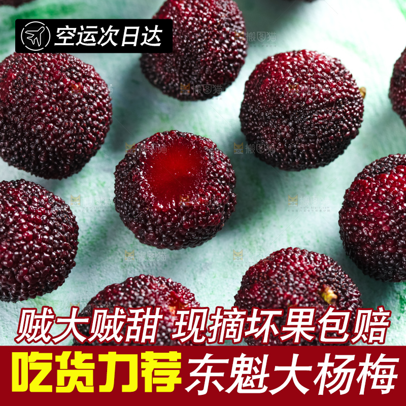 浅底上摆放着鲜杨梅