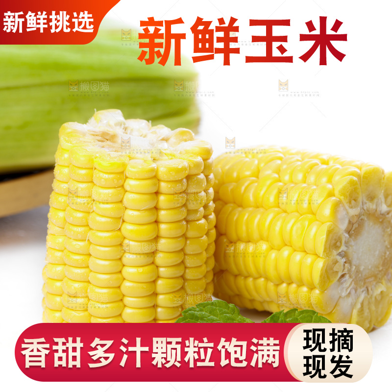 白底上放着新鲜玉米