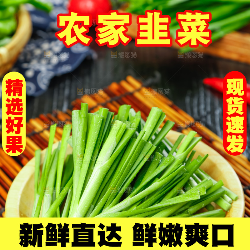 深底上摆放着山东韭菜