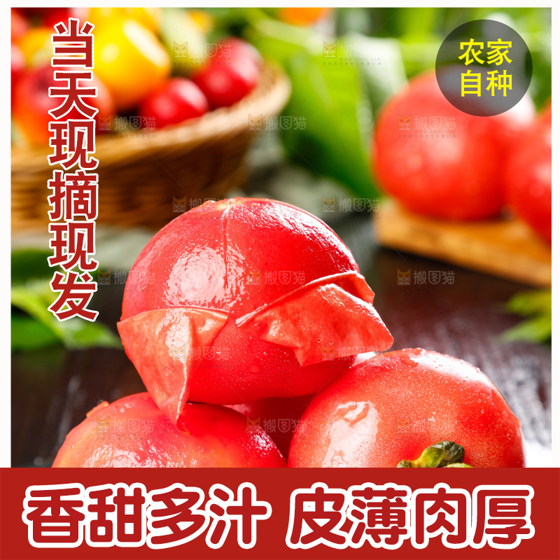 深底上放着番茄