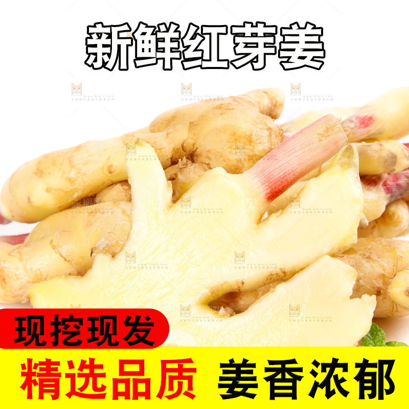 白底上的红芽姜