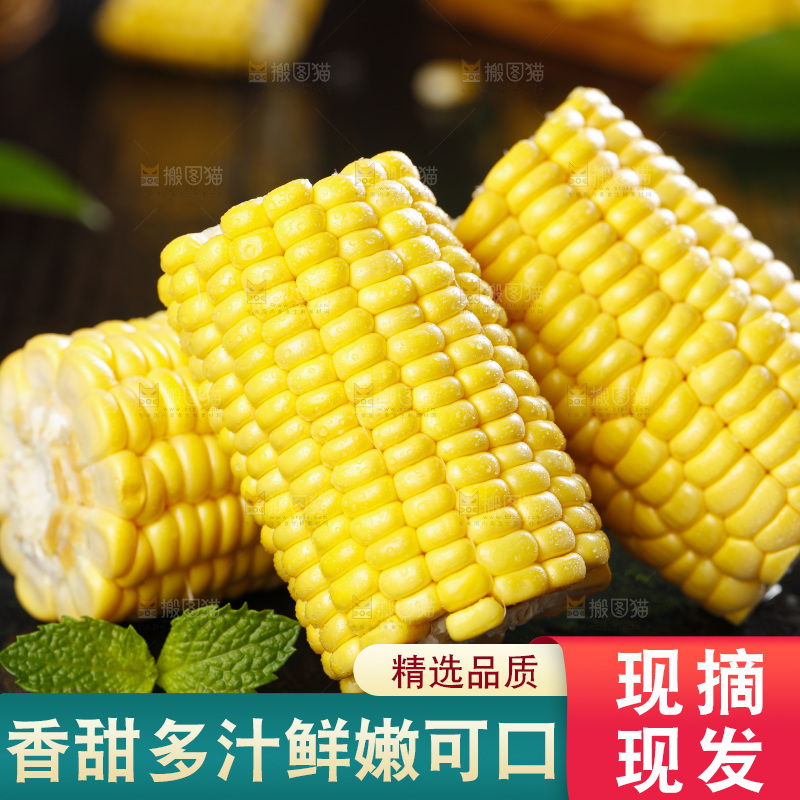 黑石板上的东北玉米