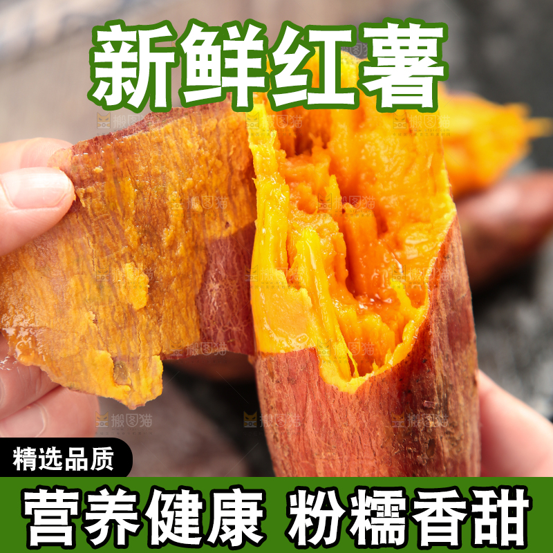 手上拿着福建六鳌蜜薯