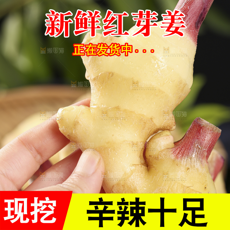 黑石板上放着红芽嫩仔姜