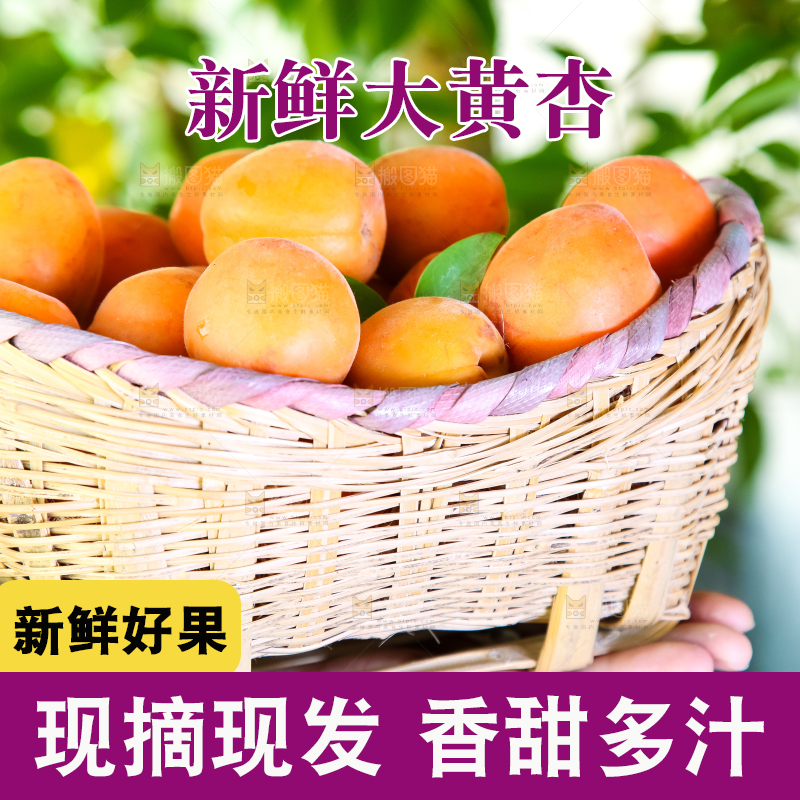 手里拿着一篮金太阳大黄杏