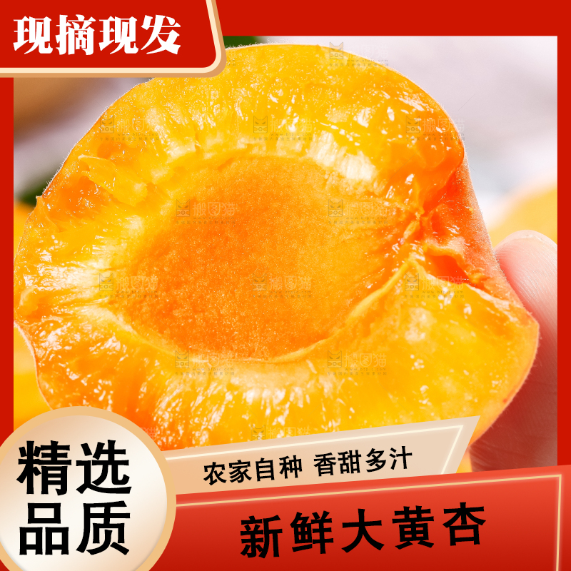 手里拿着黄杏