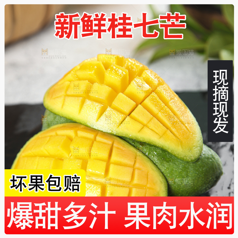 石板上的青皮桂七芒