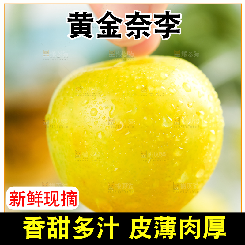 手里拿着新鲜黄金奈李
