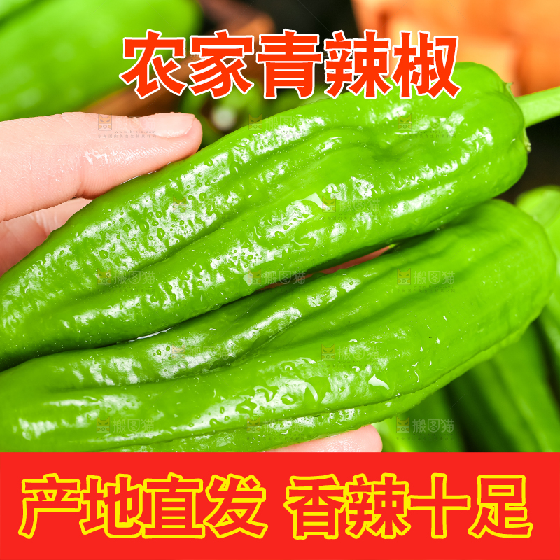 手里拿着青椒