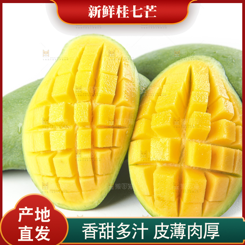 白底上放着青皮桂七芒