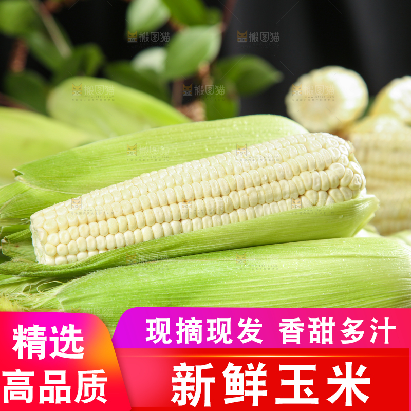 黑石板上的牛奶水果玉米