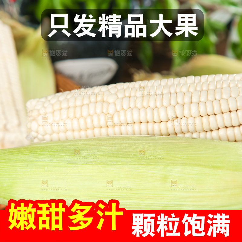 手里拿着玉米棒