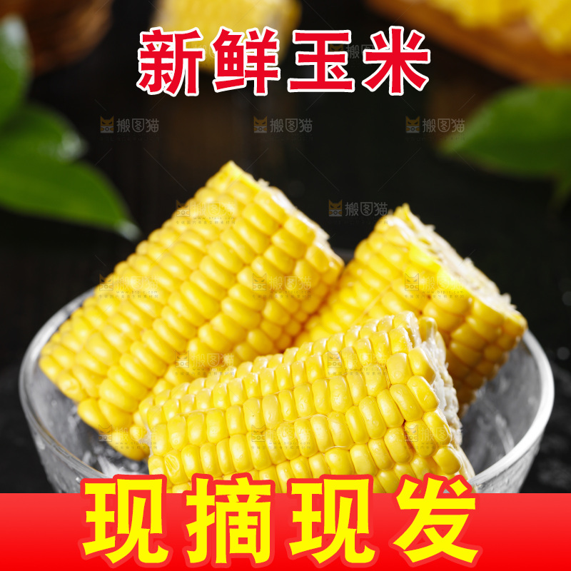黑石板上的东北玉米