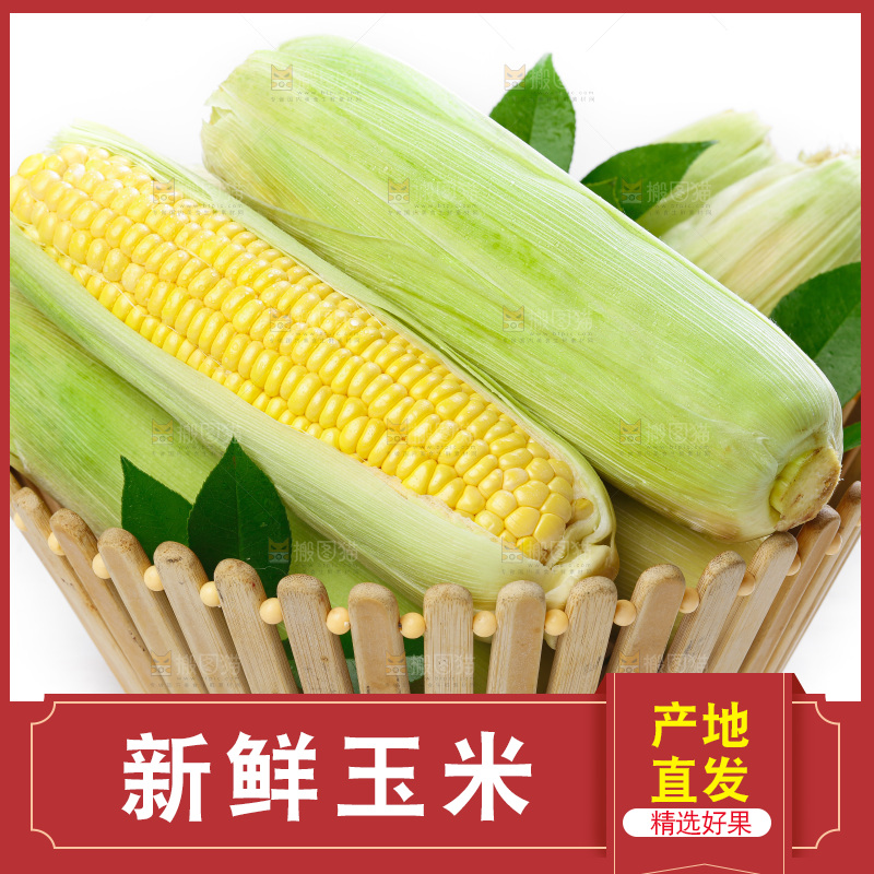 篮子子装着玉米棒