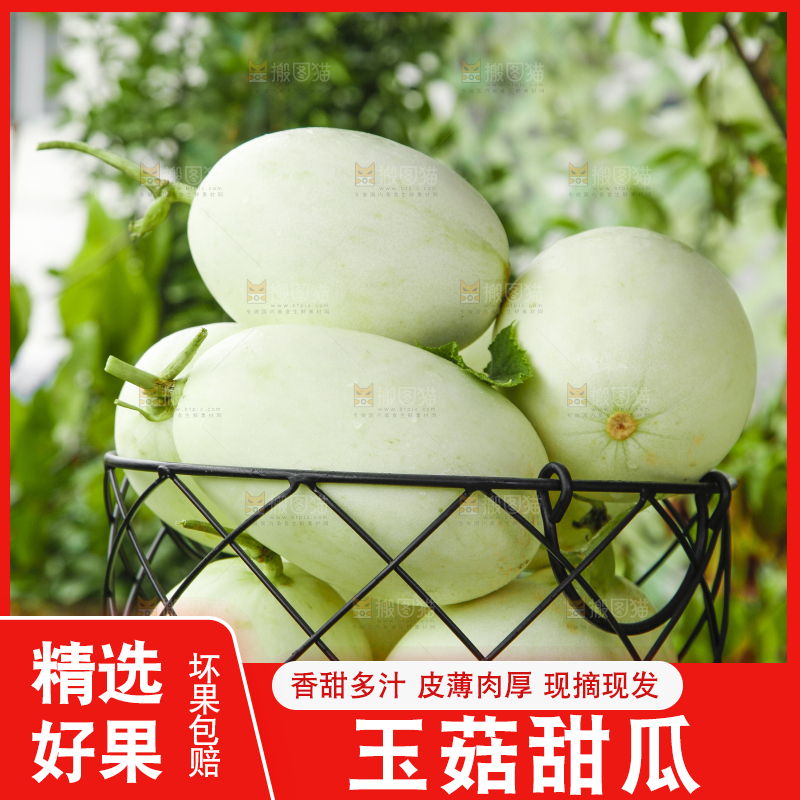 篮子里装着玉菇香瓜