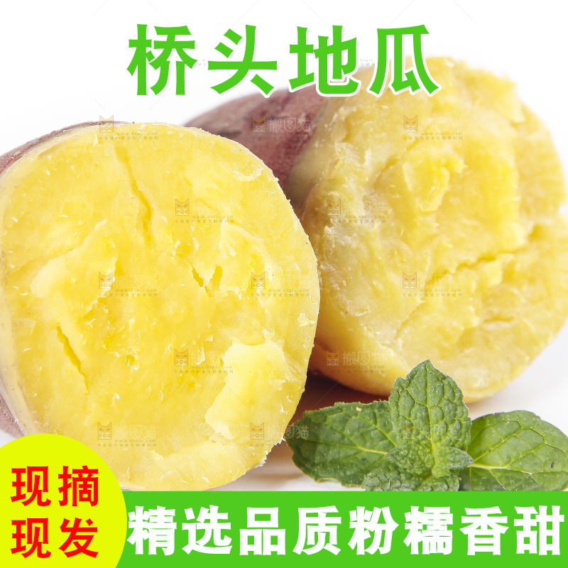 白底上放着桥头地瓜