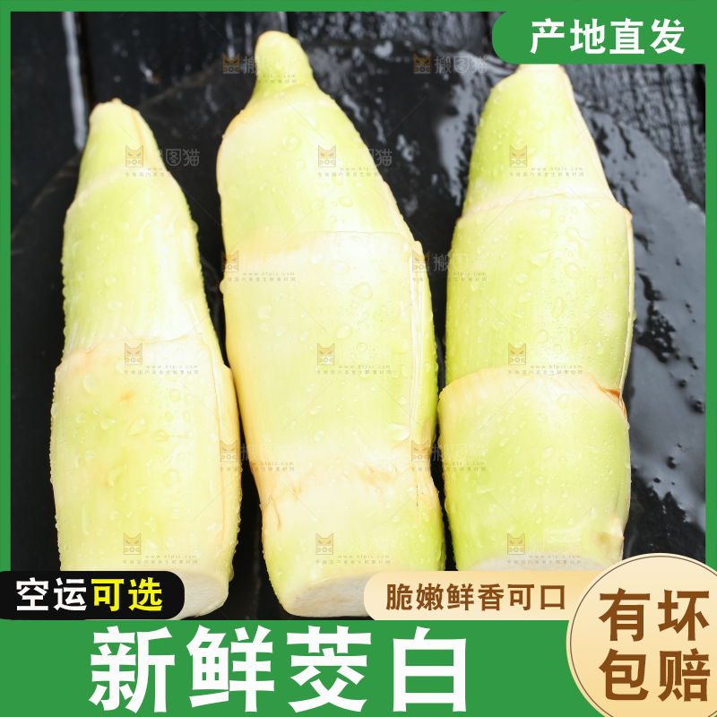 石板上的云南茭白