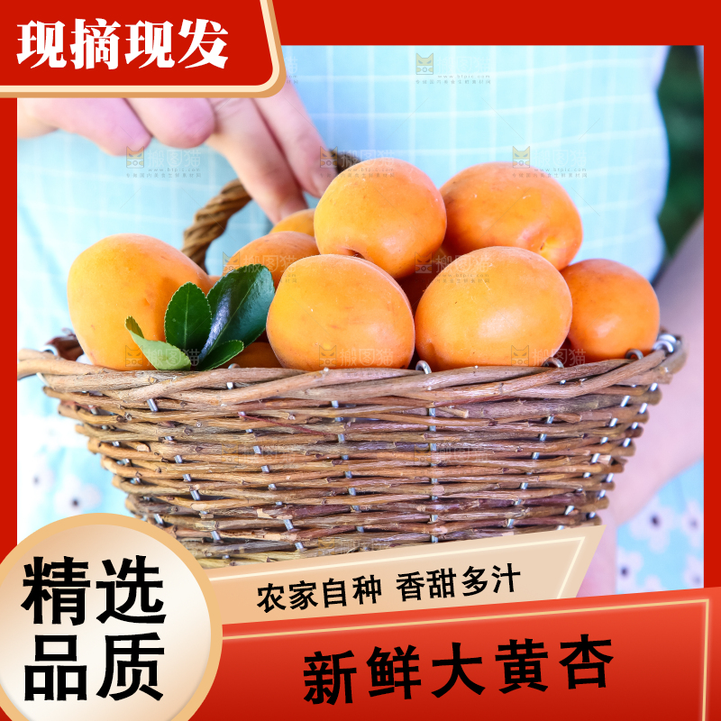 手里提着一篮杏子