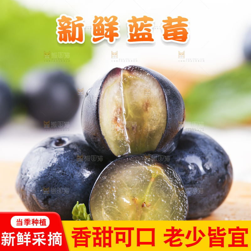 木板上摆放着高山蓝莓