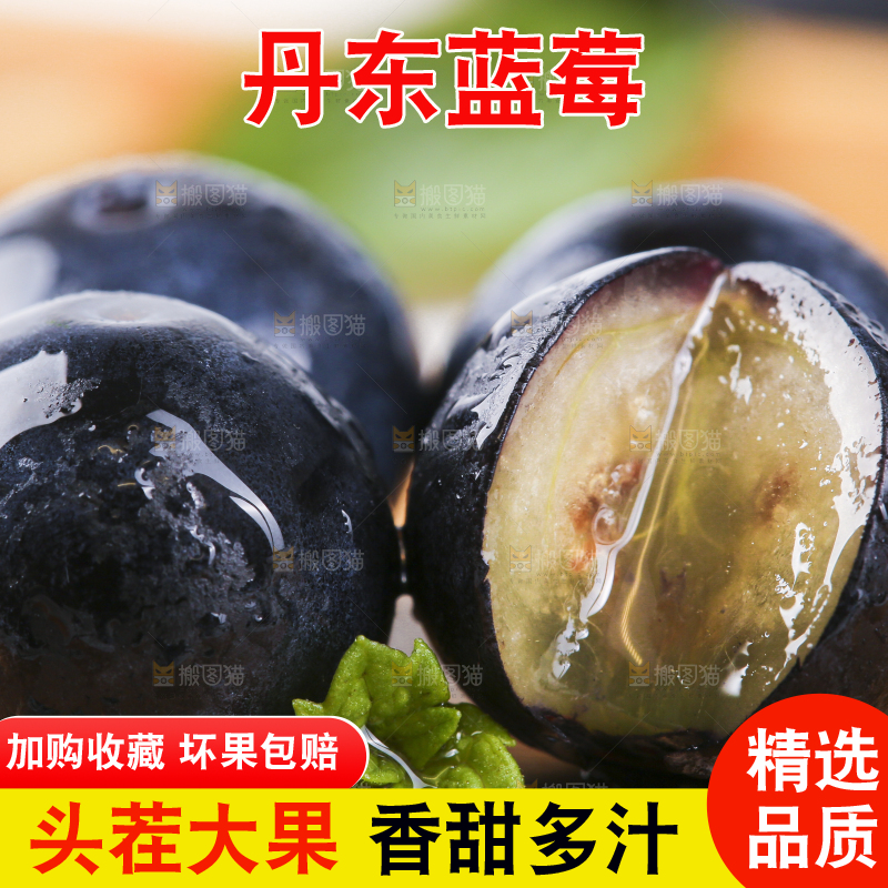 木板上摆放着高山蓝莓