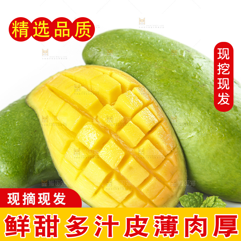 白底上的桂七香芒