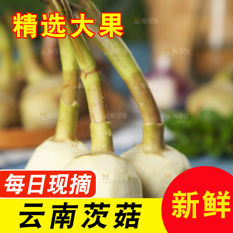 盘子里装着白慈菇
