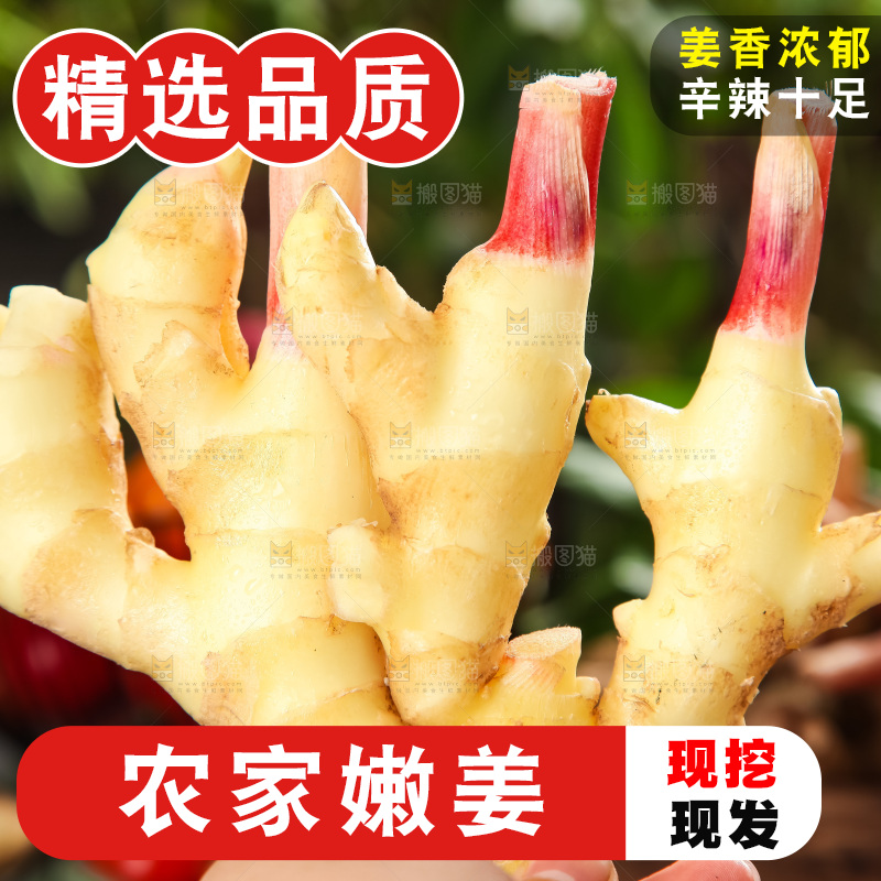 手里拿着嫩姜