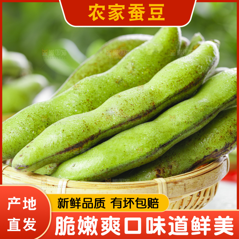 篮子里装着胡豆