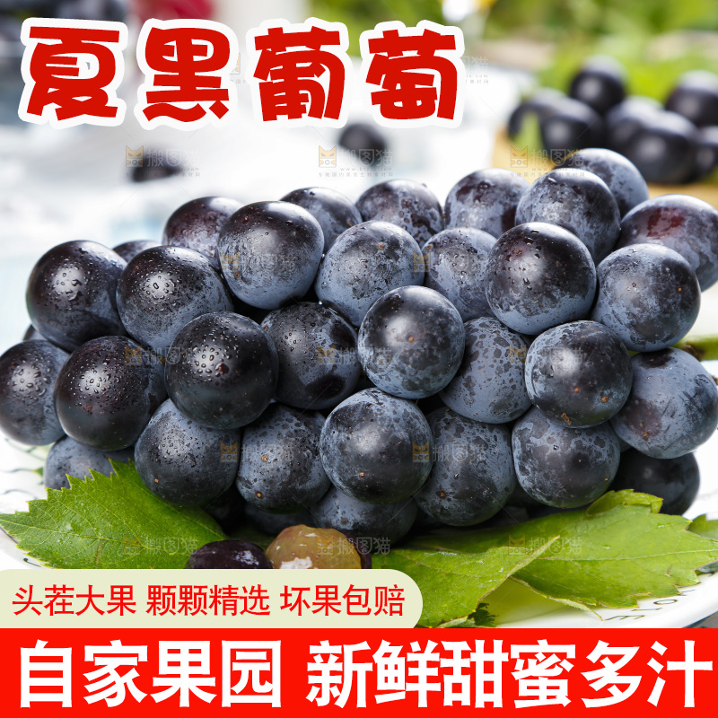 盘子里装着夏黑葡萄