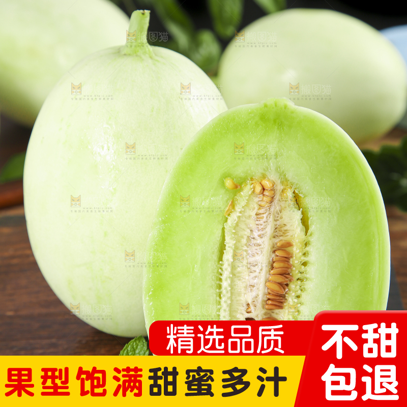 深底上摆放着山东玉菇甜瓜