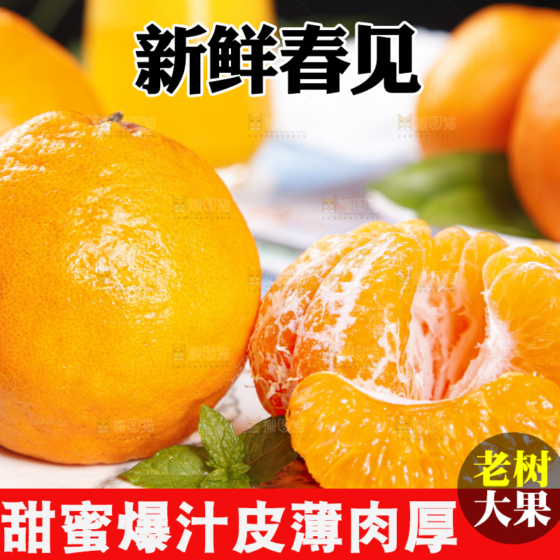 盘里装着四川春见耙耙柑