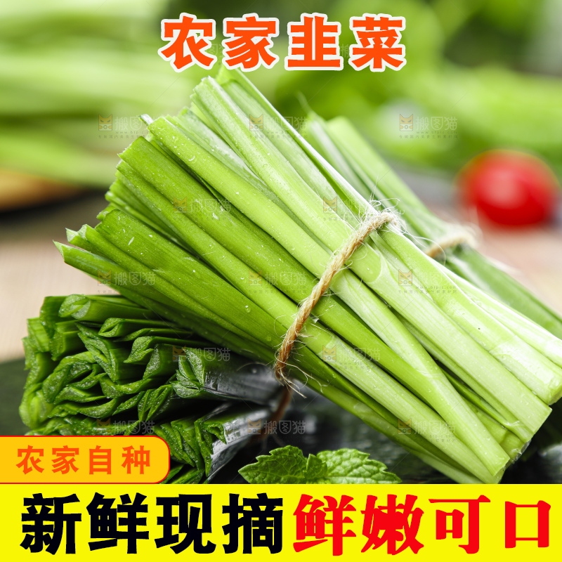 黑石上摆放着嫩韭菜