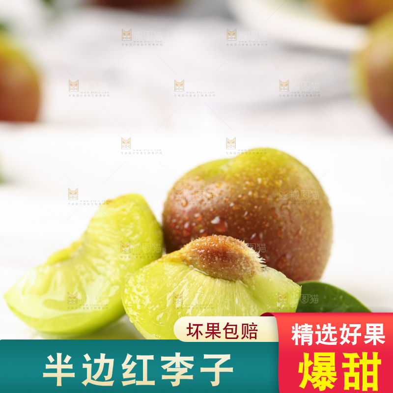 石板上摆放着四川茵红脱骨李
