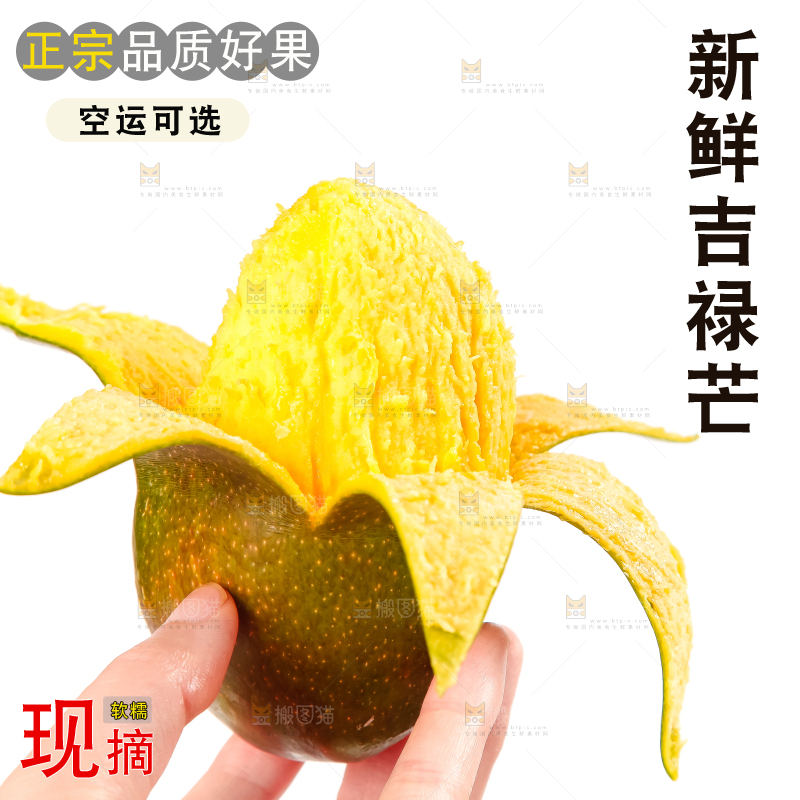 白底上的四川吉禄芒