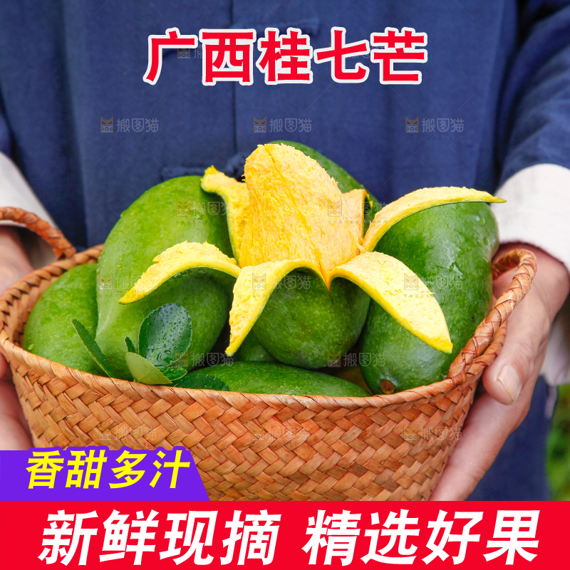 篮子里装着田东桂七芒