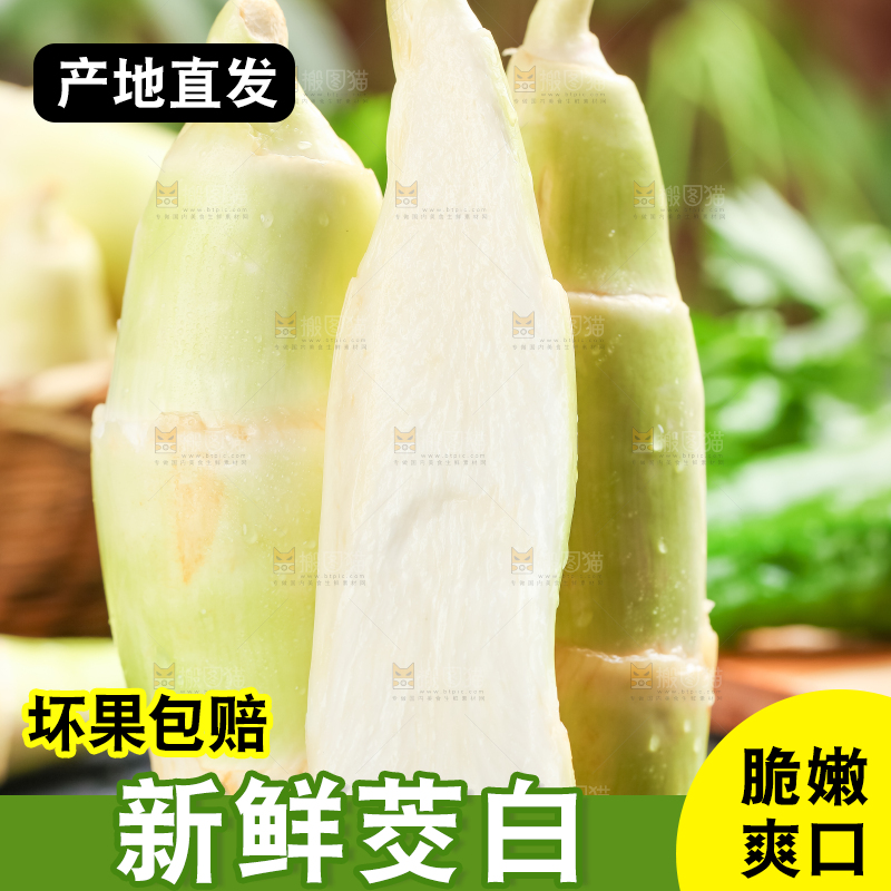 石板上的云南茭白