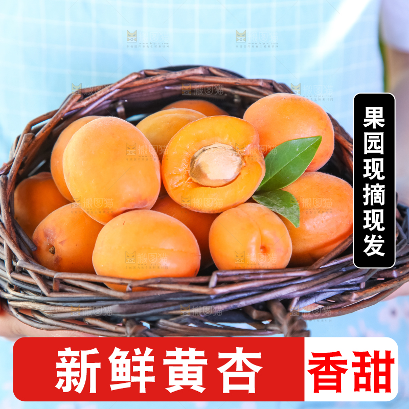 手里拿着一篮大黄杏