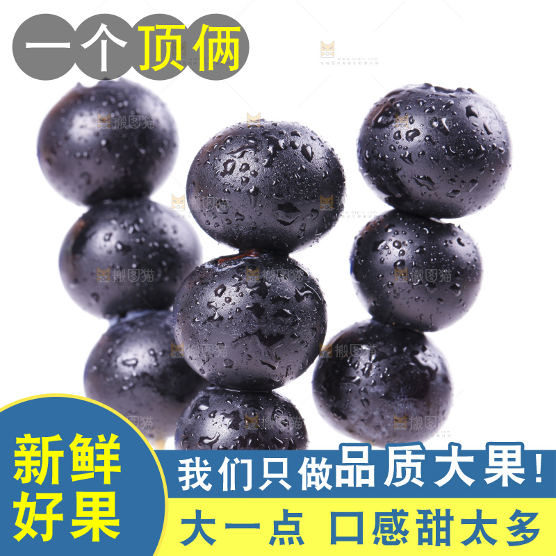 白底上摆放着高山蓝莓