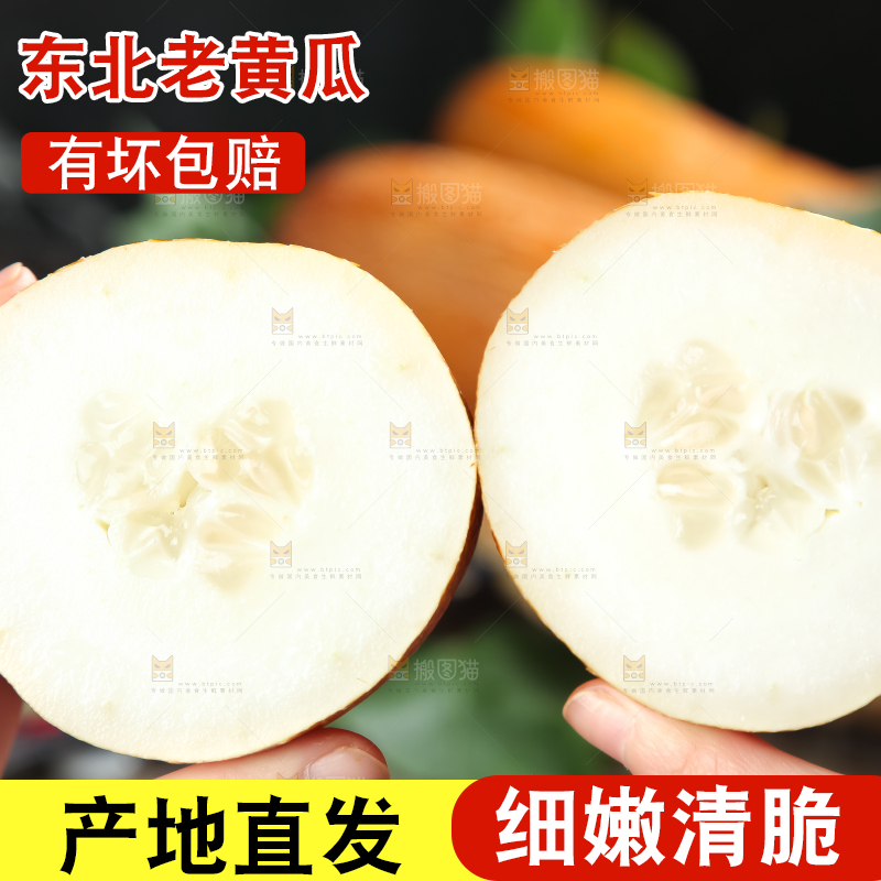 手里拿着新鲜老黄瓜