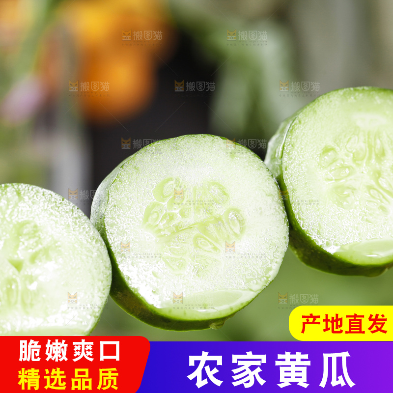 竹签串着切片的黄瓜