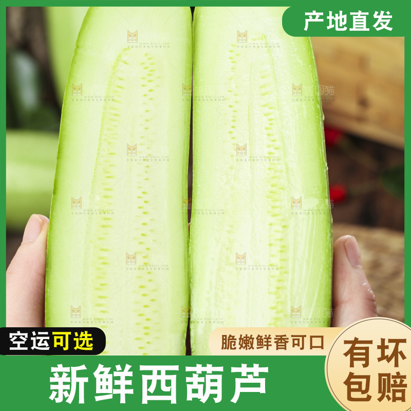 手里拿着茭瓜
