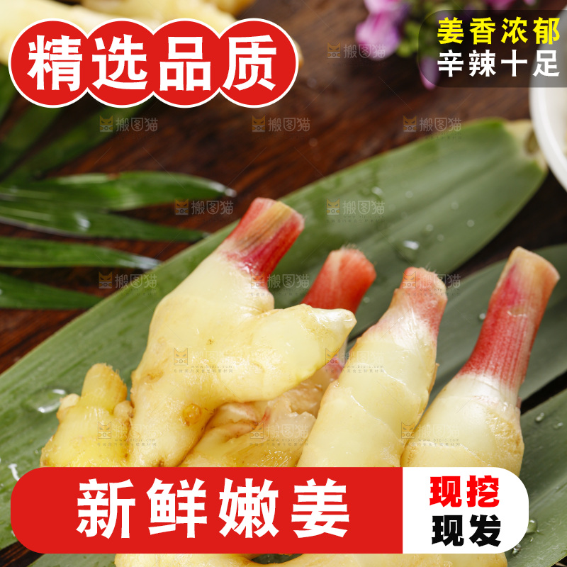 木板上的红芽嫩仔姜