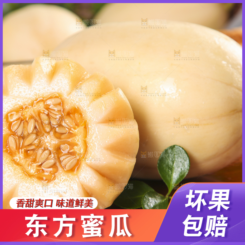 木底上摆放着州东方蜜一号甜瓜