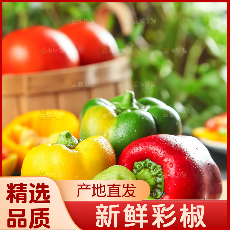 木板上的广西灯笼椒
