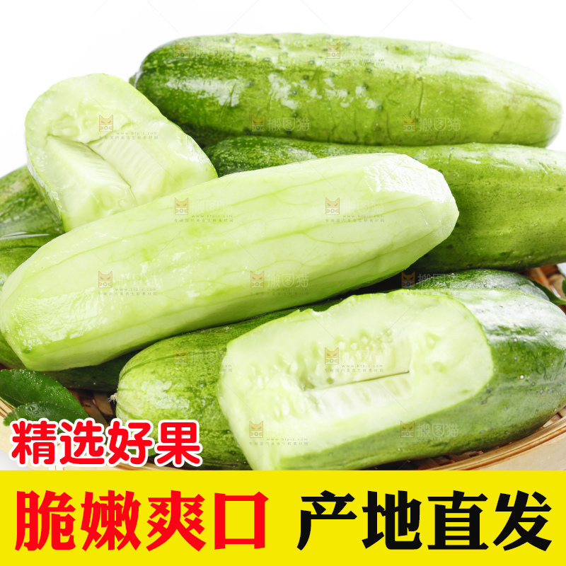 篮子里装着蔬菜黄瓜
